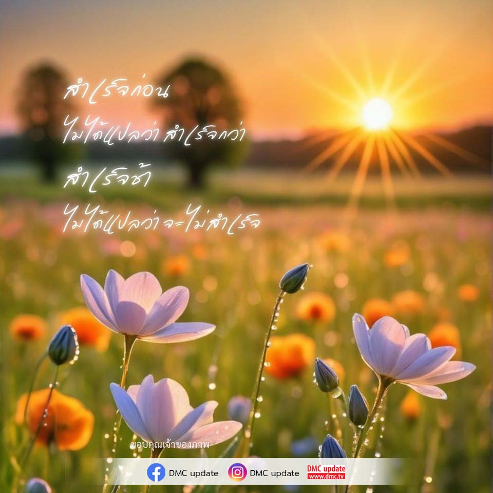 DMC Update: ข้อมูลล่าสุดเกี่ยวกับ DMC และความสำเร็จ