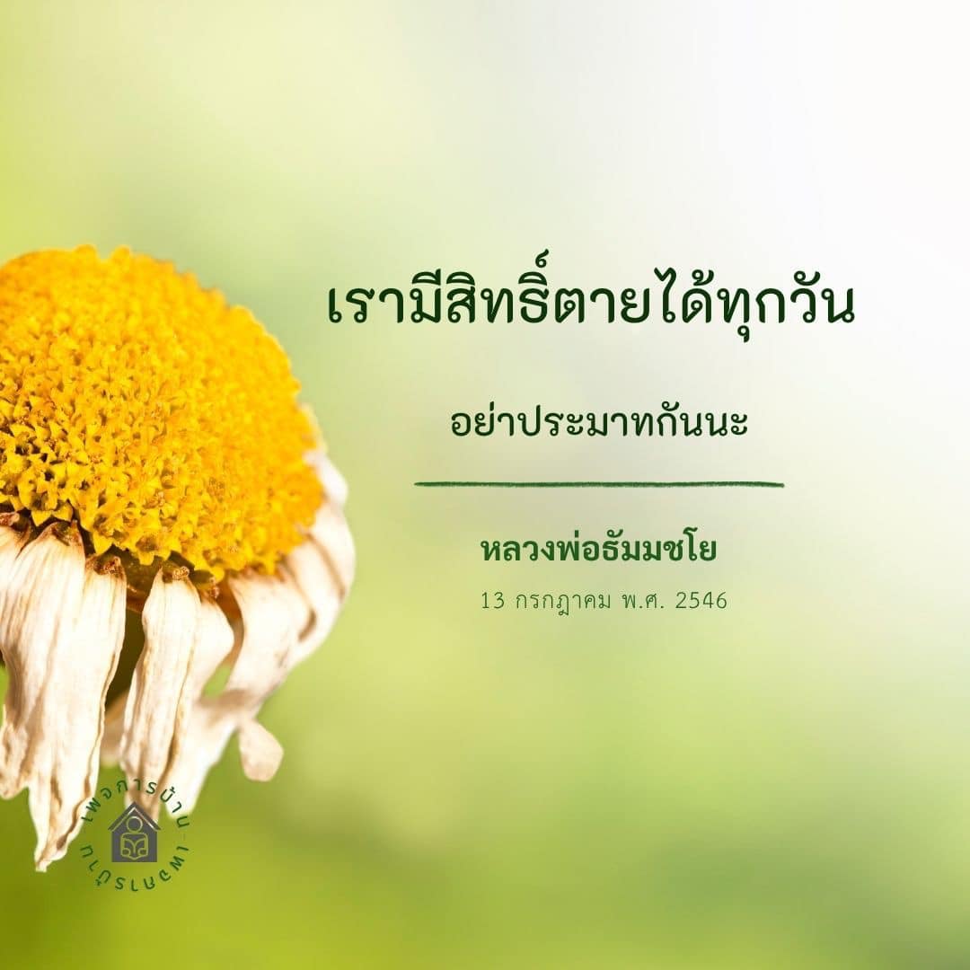การ์ด No.15129:ทั่วไป