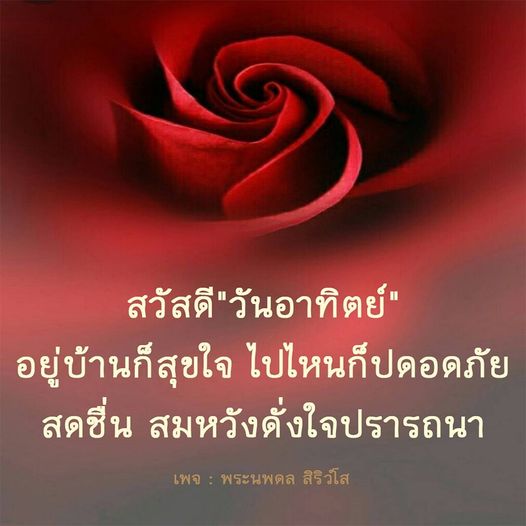 การ์ด No.8863:ภาพสวัสดียามเช้า
