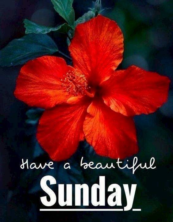 ภาพ No.15886:ภาพสวัสดียามเช้า