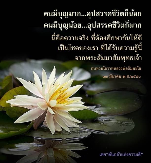 คำคมเกี่ยวกับบุญและอุปสรคชีวิตจากพระสัมมาสัมพุทธเจ้า