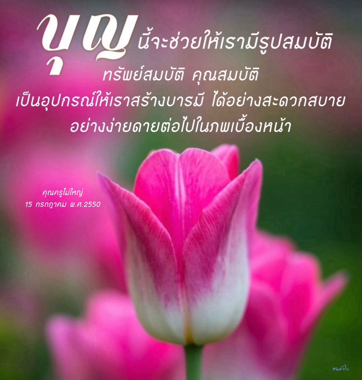 WW นี้เป็นเครื่องมือที่ช่วยให้คุณมีรูปสมบัติได้อย่างสะดวกสบาย