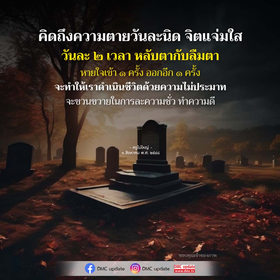 ภาพ No.16485:ทั่วไป