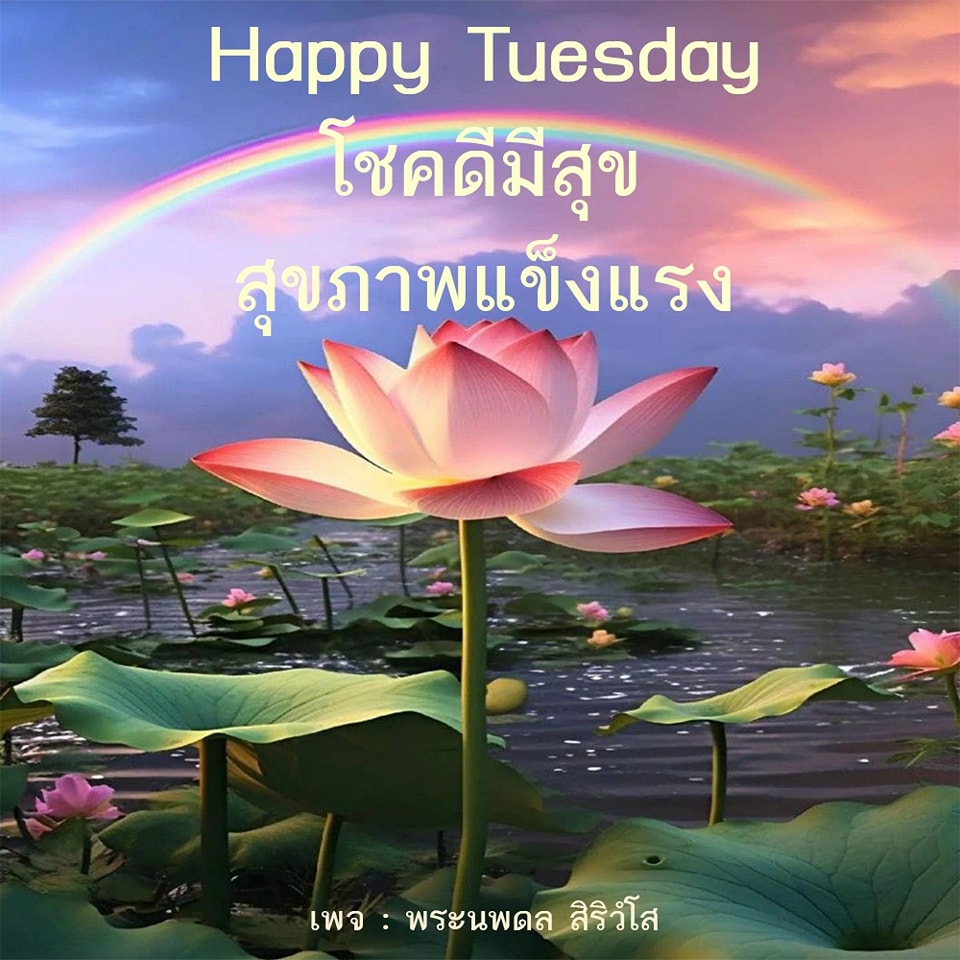 การ์ด No.7189:ภาพสวัสดียามเช้า