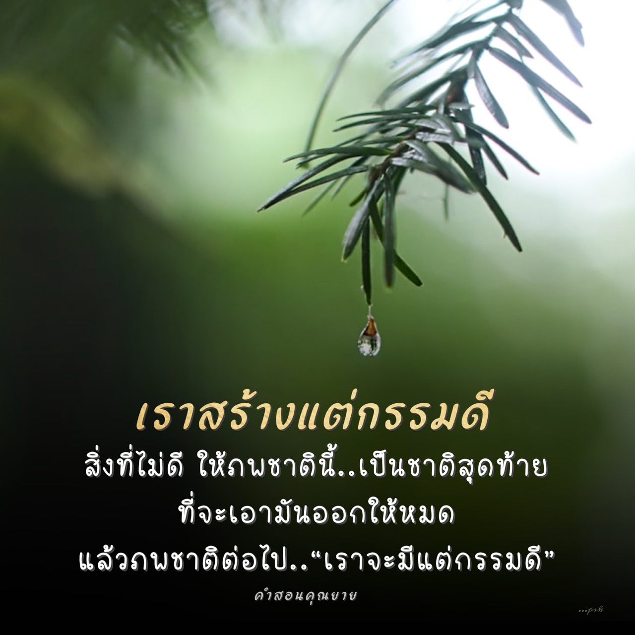 ภาพ No.16169:คำสอนคุณยาย