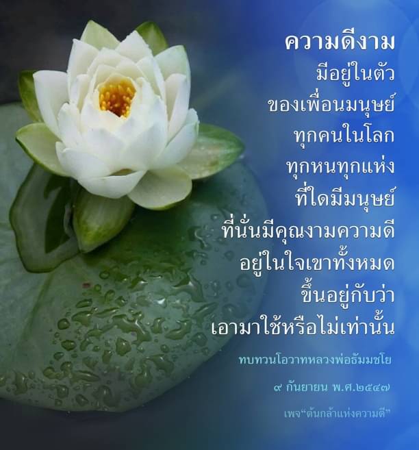 ร่วมค้นพบความดีงามที่มีอยู่ในตัวของเพื่อนมนุษย์ทุกคนในโลก ผ่านคำสอนและโอวาทจากหลวงพ่อธัมมชโย ที่จะช่วยให้คุณเข้าใจและนำคุณงามความดีมาใช้ในชีวิตประจำวัน