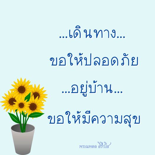 การ์ด No.8445:พระนพดล สิริวํโส