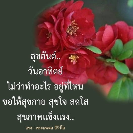 สุขสันต์วันอาทิตย์! ไม่ว่าคุณจะทำอะไร อยู่ที่ไหน ขอให้คุณมีสุขกาย สุขใจ สดใส และสุขภาพแข็งแรงในทุกวัน ด้วยความปรารถนาดีจากเพจพระนพดล สิริวโส