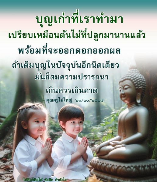 ค้นพบความหมายของบุญเก่าที่เราทำมา เปรียบเทียบกับต้นไม้ที่ปลูกมานาน พร้อมที่จะออกดอกออกผลเมื่อเติมบุญในปัจจุบัน เพื่อให้สมความปรารถนาและเกินคาด พร้อมข้อคิดและกำลังใจจากคุณครูไม่ใหญ่