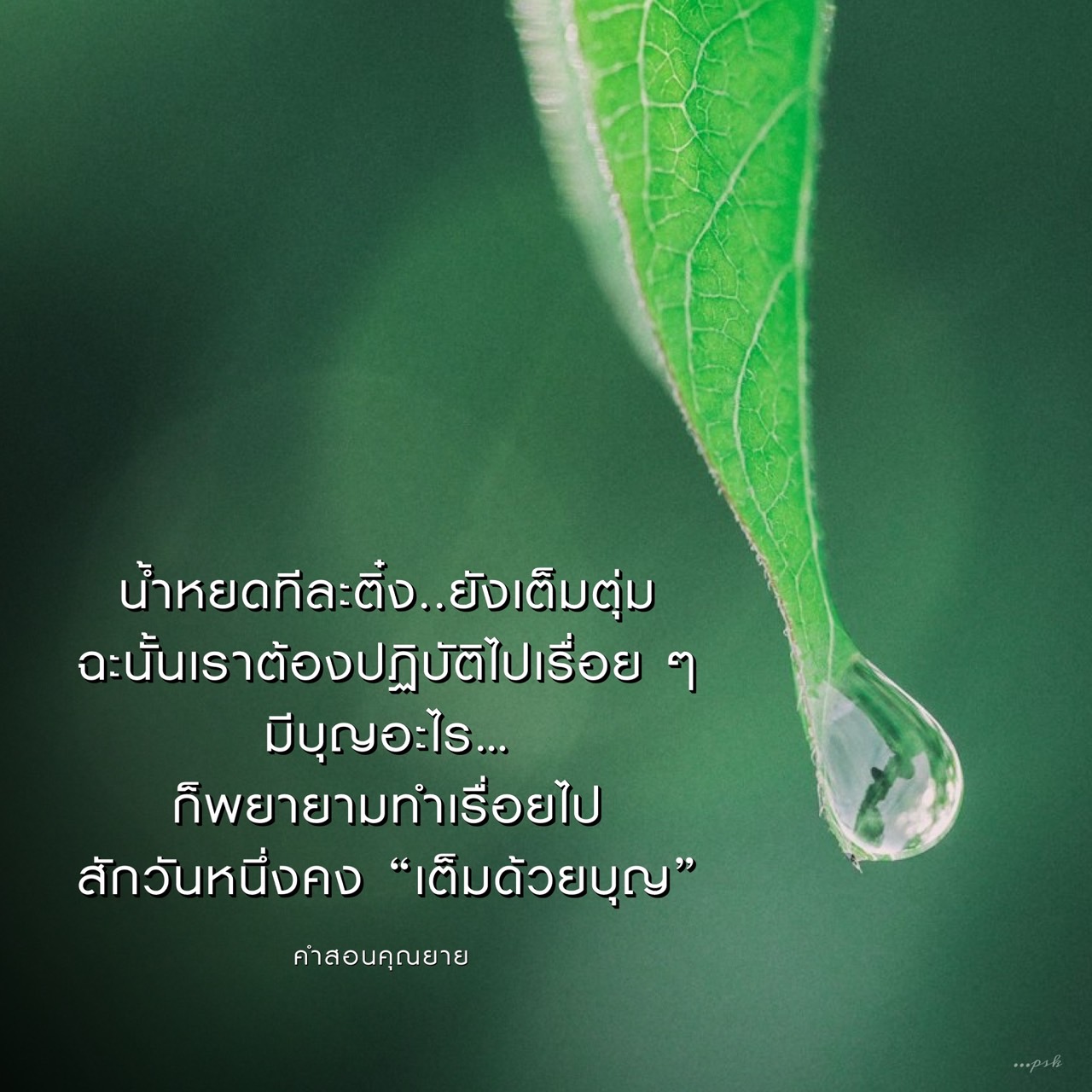 ค้นพบความหมายของคำสอน 'น้ำหยดทีละติ่ง..ยังเต็มตุ่ม' และวิธีการนำไปปฏิบัติในชีวิตประจำวัน เพื่อสร้างบุญและความสุขให้กับตัวเอง ผ่านคำสอนของคุณยายที่สอนให้เราเดินทางสู่ความดีอย่างต่อเนื่อง.