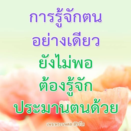 การ์ด No.13513:พระนพดล สิริวํโส