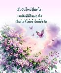  อีการ์ดภาพสวัสดียามเช้าส่งมอบเพื่อเป็นการทักทายให้กำลังใจเพื่อมิตรภาพในเช้าวันใหม่ของทุกๆ วัน
