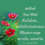สุขสันต์วันอาทิตย์: วันพักผ่อนที่เต็มไปด้วยความสุข