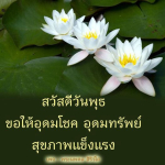  อีการ์ดภาพสวัสดียามเช้าส่งมอบเพื่อเป็นการทักทายให้กำลังใจเพื่อมิตรภาพในเช้าวันใหม่ของทุกๆ วัน