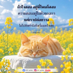 ความสงบในใจ: วิธีการปล่อยวางและค้นหาความสุข