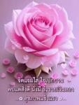 ภาพ No.14958:ทั่วไป