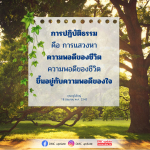 การปฏิบัติธรรมเพื่อความพอดีของชีวิต | DMC