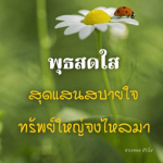 ภาพ No.10728:undefined