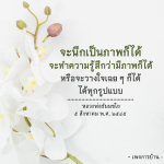 การทำสมาธิและการวางใจในหลวงพ่อธัมมชโย