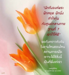 การฝึกจิตใจและการสร้างศูนย์กลางกาย