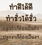 การ์ด No.8545:พระอนันต์ ตโมนุโท