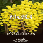  อีการ์ดภาพสวัสดียามเช้าส่งมอบเพื่อเป็นการทักทายให้กำลังใจเพื่อมิตรภาพในเช้าวันใหม่ของทุกๆ วัน