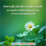 ทำความดีและกฎแห่งกรรม - DMC Update
