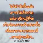 เรียนรู้จากความเจ็บปวด - เพจ พระนพดล สิริวโส
