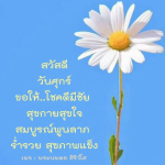 ภาพ No.14621:ภาพสวัสดียามเช้า