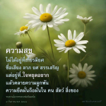ความสุขที่แท้จริง: การหยุดยึดมั่นและการคลายความผูกพัน