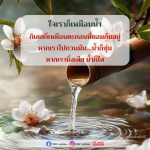 ภาพ No.16378:ทั่วไป