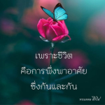 ภาพ No.12602:คำสอนพระอาจารย์