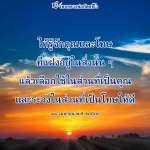 ภาพ No.16134:ทั่วไป