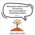 ชีวิตปัจจุบันและภาพสะท้อนจากอดีต: การเรียนรู้จากประสบการณ์