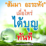 ภาพ No.14049:พระนพดล สิริวํโส