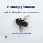 เพอรี่ กเกร: ทบทวนโอวาทหลวงพ่อธัมมชโย - ถ้าหมดบุญ ก็หมดลม
