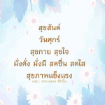 ภาพ No.12113:พระนพดล สิริวํโส