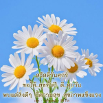  อีการ์ดภาพสวัสดียามเช้าส่งมอบเพื่อเป็นการทักทายให้กำลังใจเพื่อมิตรภาพในเช้าวันใหม่ของทุกๆ วัน