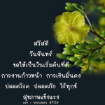 พระนพดล สิริวํโส | สวัสดีวันจันทร์เริ่มต้นที่ดี