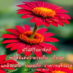สวัสดีวันอาทิตย์ - ความร่มเย็นและสุขภาพดี