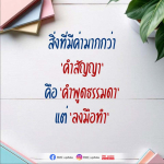 ภาพ No.16082:ทั่วไป