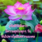 การ์ด No.8248:ภาพสวัสดียามเช้า