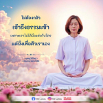 ภาพ No.16087:ทั่วไป