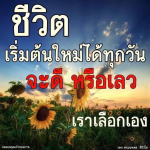 ธรรมะสั้นๆ ลึกซึ้งกินใจให้ข้อคิดข้อธรรม ทันสมัยเหมาะกับทุกยุคทุกวัย