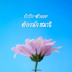 การ์ด No.8199:คติคำคม ข้อคิดสอนใจ