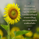 หียายบอกบุญ - สอนคุณยายเกี่ยวกับความดีและบุญ