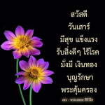 สวัสดีวันเสาร์ - ความสุขและความมั่งคั่ง