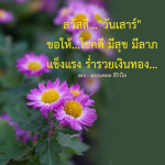 ภาพ No.14664:ภาพสวัสดียามเช้า