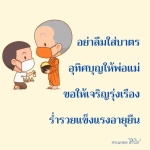 ภาพ No.9833:พระนพดล สิริวํโส