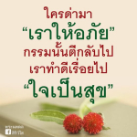 ภาพ No.14517:พระนพดล สิริวํโส
